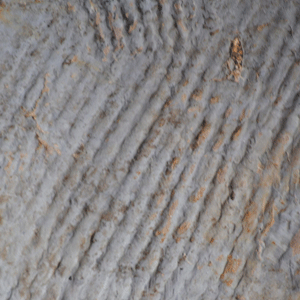 Patterns in clay bricks and roof tiles