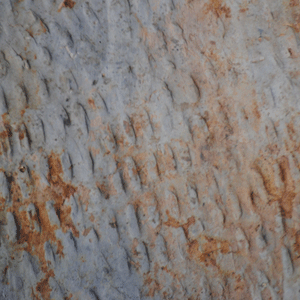 Patterns in clay bricks and roof tiles