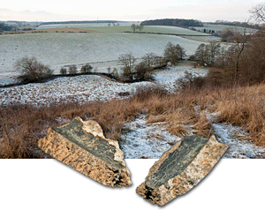 Gun fragments from Towton battlefield