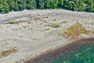 aerial photograph of the Tla'amin territory