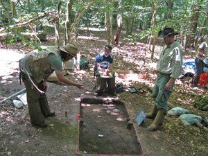 changes in soil color help identify habitation sites from the Great Dismal Swamp's refugee community