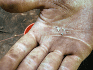 A few tiny artifacts represent an average day's haul at the Great Dismal Swamp