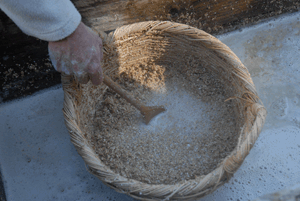 Quinn and Moore added malted barley to water that had been heated in their fulacht fiadh by stones fired on a nearby hearth