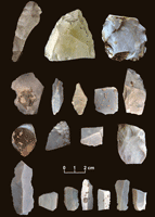 Chert tools