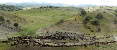 Archaeologists are uncovering Bronze Age settlements where modern Uzbek and Tajik pastoralists today drive their flocks through the same landscape as their ancient forebears