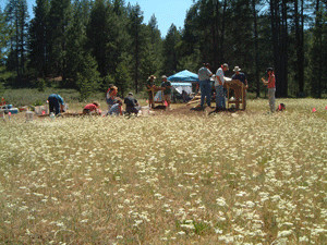 archaeologists excavated many bones that attest to the desperation of the hungry pioneers