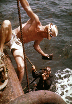 frogmen hand up a
part of a gun stock