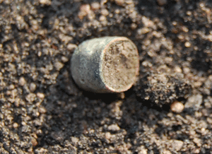 Archaeologists excavate the site of the Ann Jones Inn