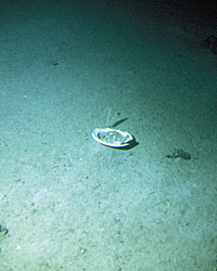 titanic underwater artifacts
