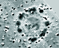 Magnetometer image of Timberhenge