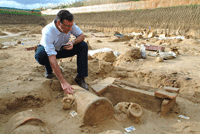 Archaeologist Stefano Vassallo