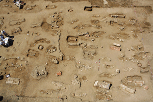 Vassallo's team has uncovered more than 2,000 burials dating from the sixth to fifth century B.C. in Himera's massive necropolis