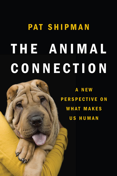 How Animals Shaped Humanity
