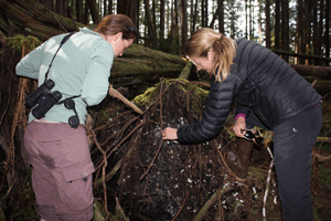 Archaeologist Dana Lepofsky teaches a graduate student how to excavate a site