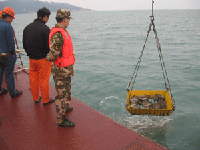 Nan'ao Island border patrol guards help retrieve and clean pieces of porcelain as they come up from the wreck.