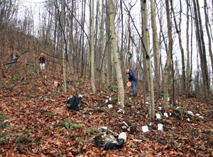 Surveys of the Blair Mountain battlefield in 2006 have provided evidence that the striking miners were more successful and tactical than previously thought