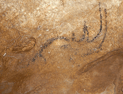cave detail