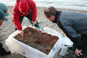 Archaeologists from Parks Canada, on the shore of Mercy Bay, examine the felt sheet recovered from the Investigator wreck site