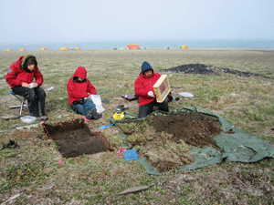 Archaeologists documented and excavated terrestrial sites