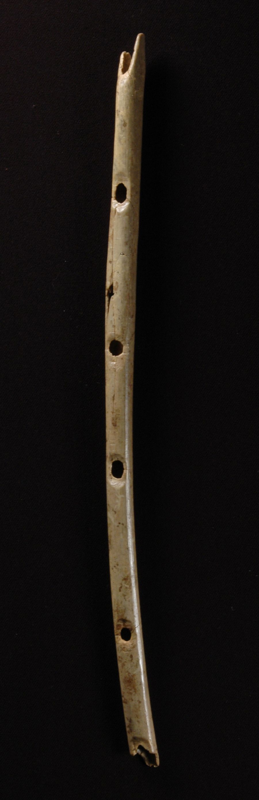 Beyond Stone and Bone » The Magic Flutes Archaeology Magazine Archive