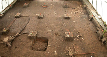 Overall photograph of the excavations