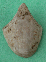 FS-4986 - Kaolin pipe bowl fragment found by Carissa Cathcart